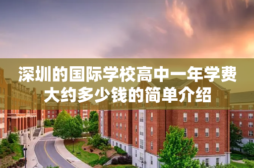 深圳的国际学校高中一年学费大约多少钱的简单介绍