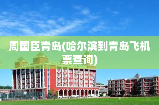 周国臣青岛(哈尔滨到青岛飞机票查询)