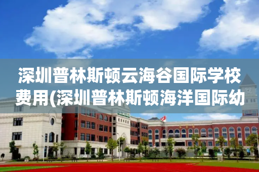 深圳普林斯顿云海谷国际学校费用(深圳普林斯顿海洋国际幼儿园学费多少)