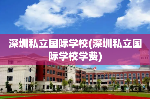 深圳私立国际学校(深圳私立国际学校学费)