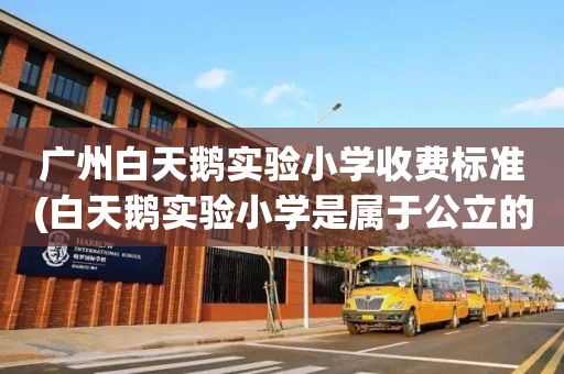 广州白天鹅实验小学收费标准(白天鹅实验小学是属于公立的吗)