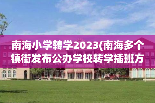 南海小学转学2023(南海多个镇街发布公办学校转学插班方案)