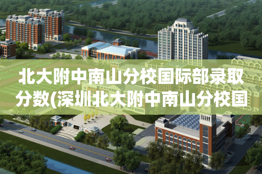 北大附中南山分校国际部录取分数(深圳北大附中南山分校国际部好录取吗)