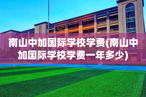 南山中加国际学校学费(南山中加国际学校学费一年多少)