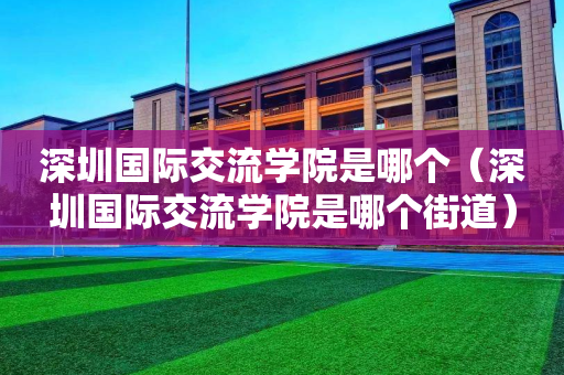 深圳国际交流学院是哪个（深圳国际交流学院是哪个街道）