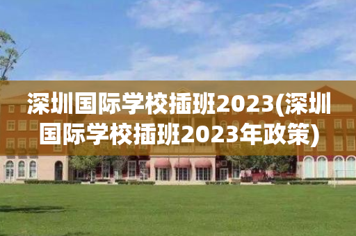 深圳国际学校插班2023(深圳国际学校插班2023年政策)