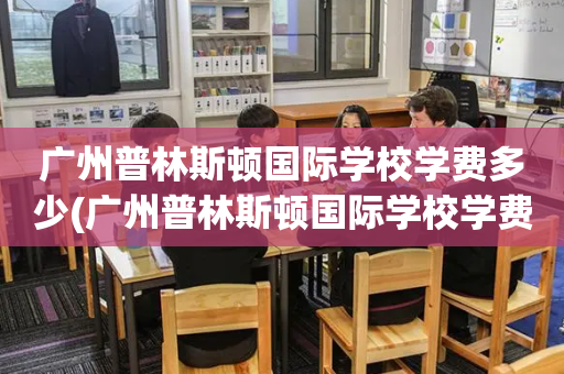 广州普林斯顿国际学校学费多少(广州普林斯顿国际学校学费多少一年)
