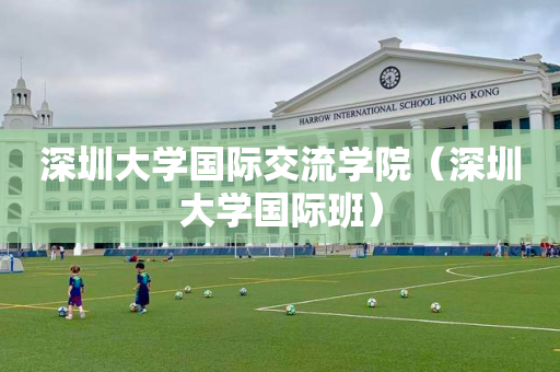 深圳大学国际交流学院（深圳大学国际班）