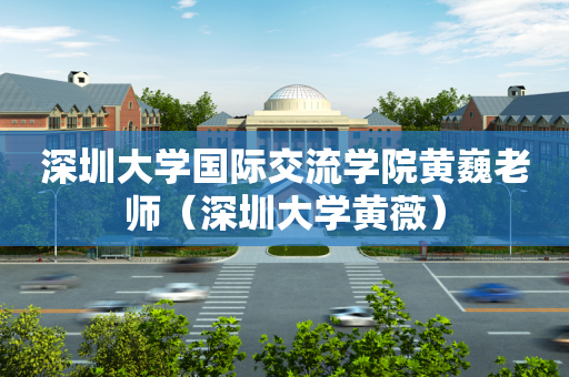 深圳大学国际交流学院黄巍老师（深圳大学黄薇）