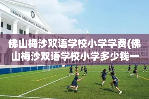 佛山梅沙双语学校小学学费(佛山梅沙双语学校小学多少钱一年)