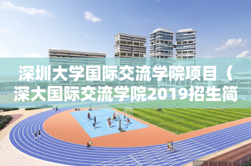 深圳大学国际交流学院项目（深大国际交流学院2019招生简章）