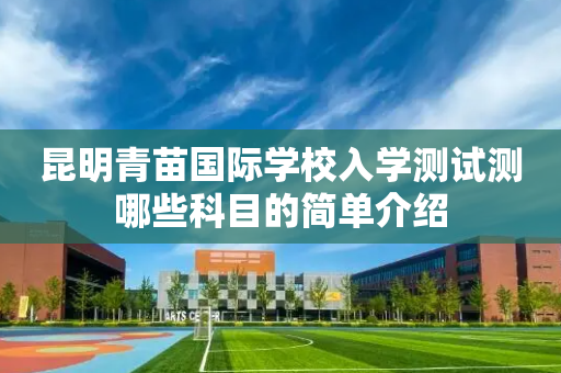 昆明青苗国际学校入学测试测哪些科目的简单介绍