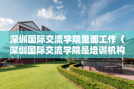 深圳国际交流学院里面工作（深圳国际交流学院是培训机构吗）