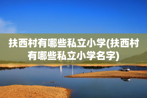 扶西村有哪些私立小学(扶西村有哪些私立小学名字)