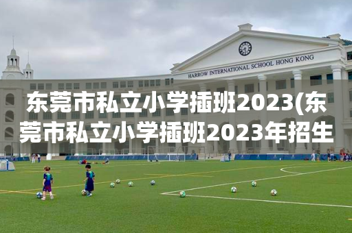 东莞市私立小学插班2023(东莞市私立小学插班2023年招生)
