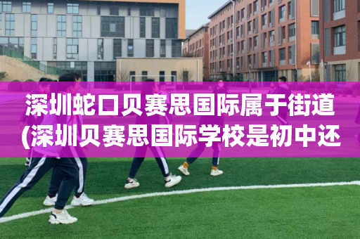 深圳蛇口贝赛思国际属于街道(深圳贝赛思国际学校是初中还是高中)