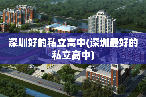 深圳好的私立高中(深圳最好的私立高中)