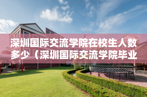 深圳国际交流学院在校生人数多少（深圳国际交流学院毕业生走向）