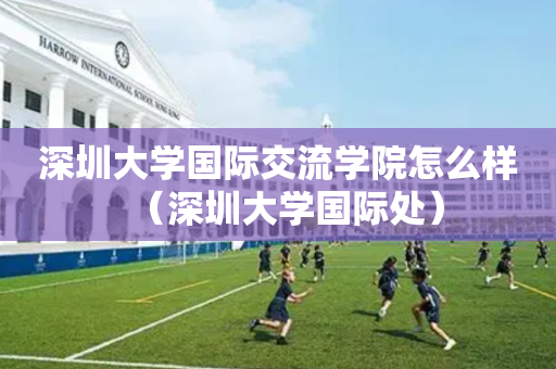 深圳大学国际交流学院怎么样（深圳大学国际处）
