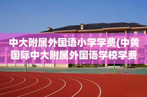 中大附属外国语小学学费(中黄国际中大附属外国语学校学费)