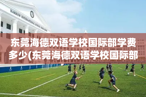 东莞海德双语学校国际部学费多少(东莞海德双语学校国际部学费多少钱)