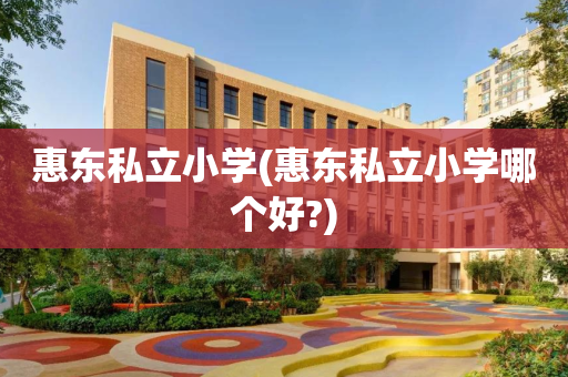 惠东私立小学(惠东私立小学哪个好?)