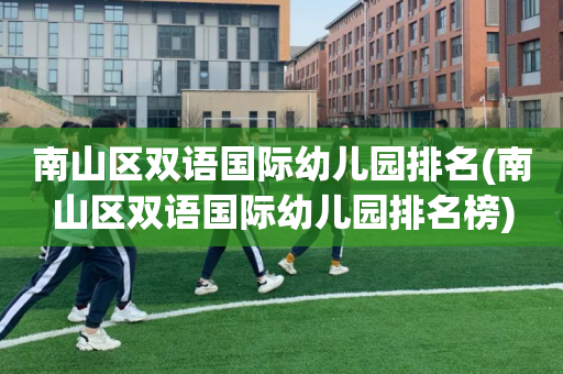 南山区双语国际幼儿园排名(南山区双语国际幼儿园排名榜)