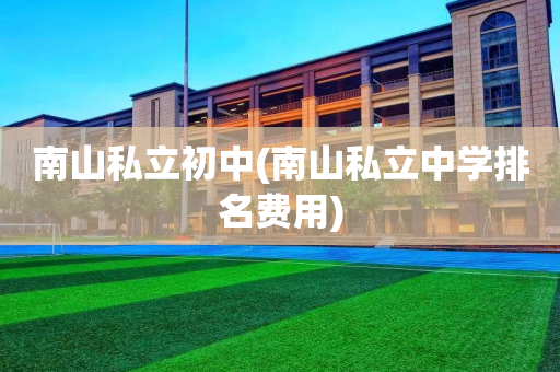 南山私立初中(南山私立中学排名费用)