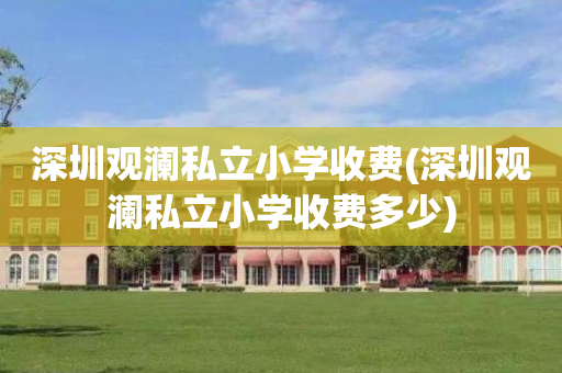 深圳观澜私立小学收费(深圳观澜私立小学收费多少)