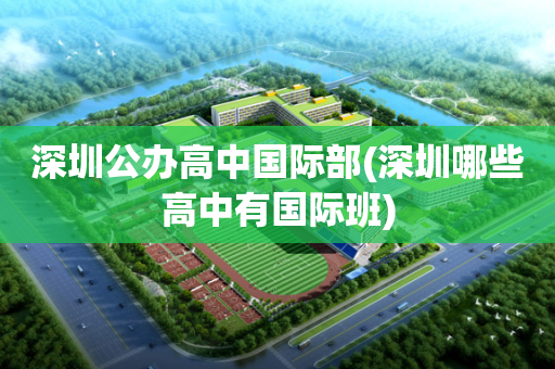 深圳公办高中国际部(深圳哪些高中有国际班)