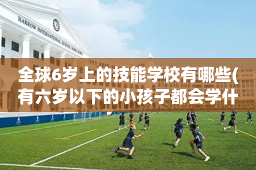 全球6岁上的技能学校有哪些(有六岁以下的小孩子都会学什么)