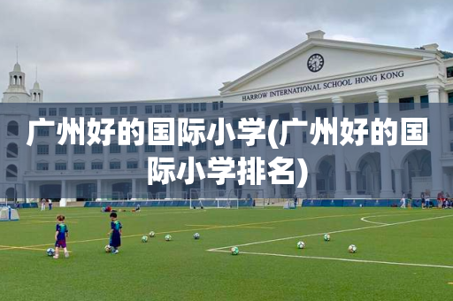 广州好的国际小学(广州好的国际小学排名)