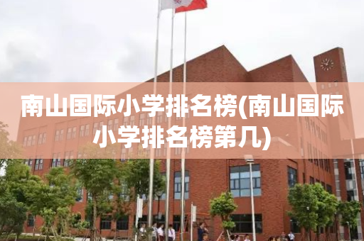 南山国际小学排名榜(南山国际小学排名榜第几)