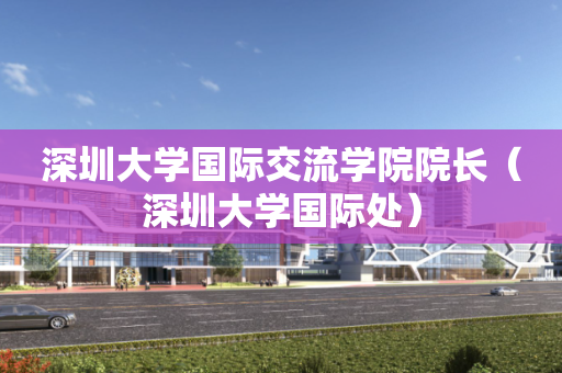 深圳大学国际交流学院院长（深圳大学国际处）