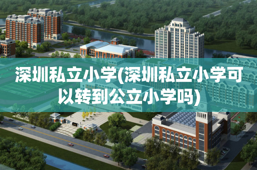 深圳私立小学(深圳私立小学可以转到公立小学吗)
