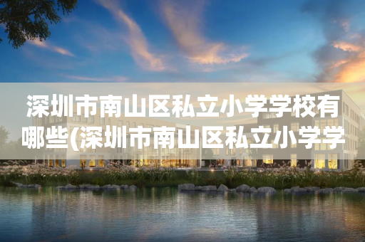 深圳市南山区私立小学学校有哪些(深圳市南山区私立小学学校有哪些名字)