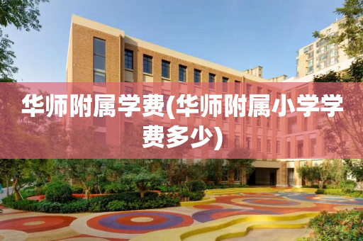 华师附属学费(华师附属小学学费多少)