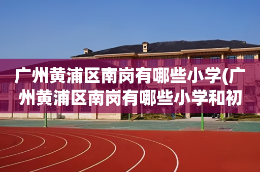 广州黄浦区南岗有哪些小学(广州黄浦区南岗有哪些小学和初中)