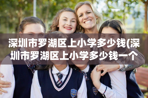 深圳市罗湖区上小学多少钱(深圳市罗湖区上小学多少钱一个学期)