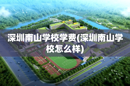 深圳南山学校学费(深圳南山学校怎么样)