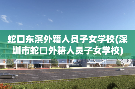 蛇口东滨外籍人员子女学校(深圳市蛇口外籍人员子女学校)