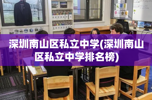深圳南山区私立中学(深圳南山区私立中学排名榜)