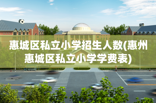 惠城区私立小学招生人数(惠州惠城区私立小学学费表)