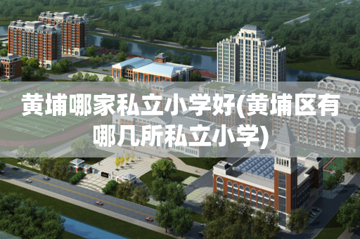 黄埔哪家私立小学好(黄埔区有哪几所私立小学)