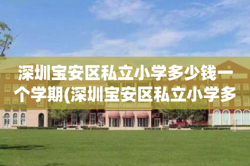 深圳宝安区私立小学多少钱一个学期(深圳宝安区私立小学多少钱一个学期啊)