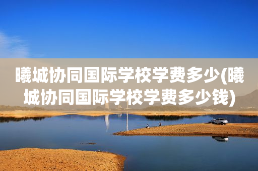 曦城协同国际学校学费多少(曦城协同国际学校学费多少钱)