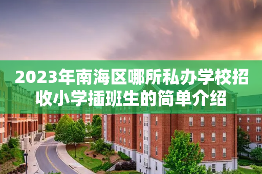 2023年南海区哪所私办学校招收小学插班生的简单介绍