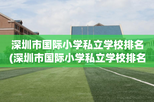 深圳市国际小学私立学校排名(深圳市国际小学私立学校排名表)