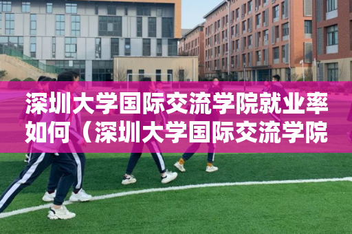 深圳大学国际交流学院就业率如何（深圳大学国际交流学院怎么样）