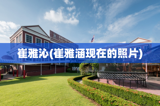 崔雅沁(崔雅涵现在的照片)